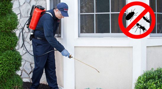 Sarıveliler Karınca İlaçlama böcek ilaçlama ve haşere kontrolü — ilaclama-tr.com
